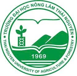 TUAF 2025